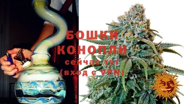 сатива Армянск