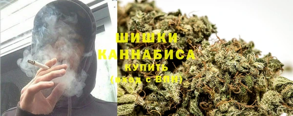 сатива Армянск