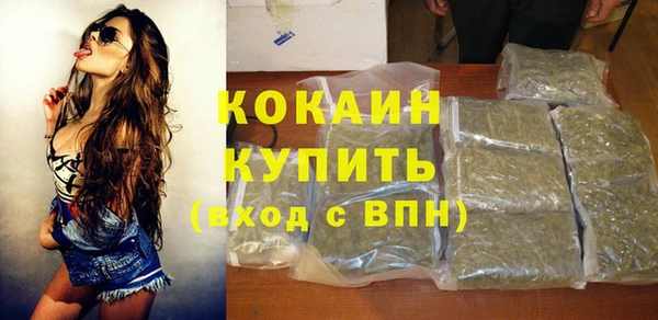 сатива Армянск